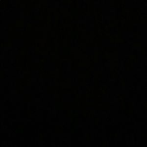 Meet your Posher, Daniela